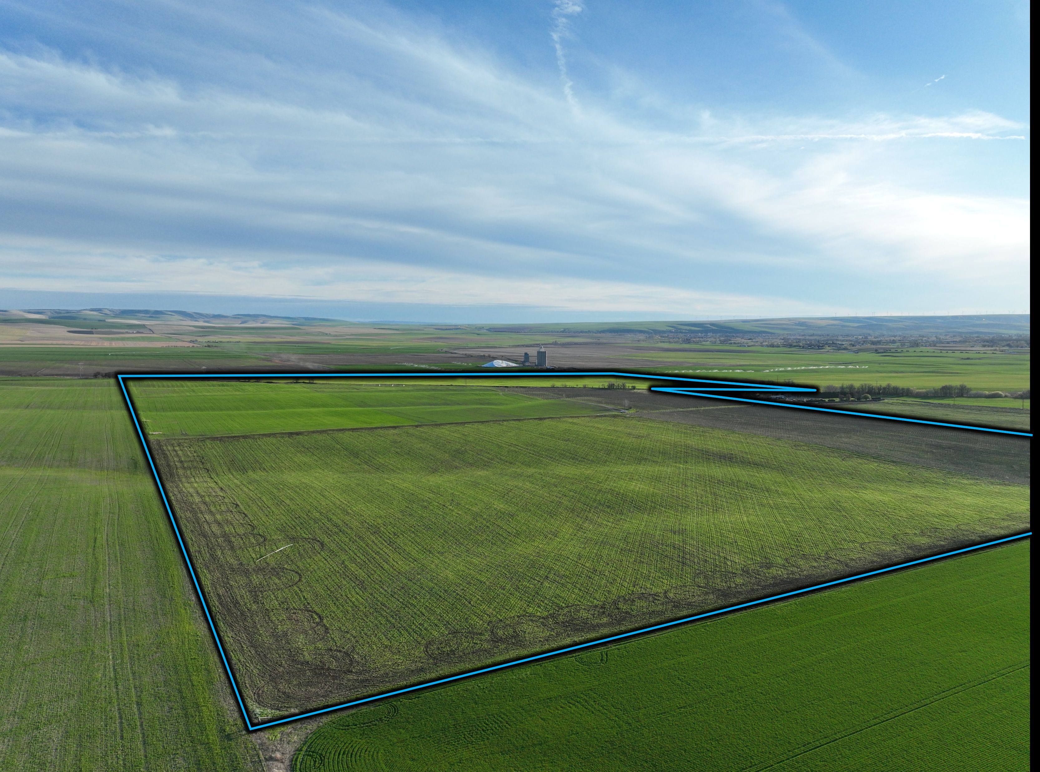 Listing Photo: Umatilla-County-OR-208.00-Acres(23)
